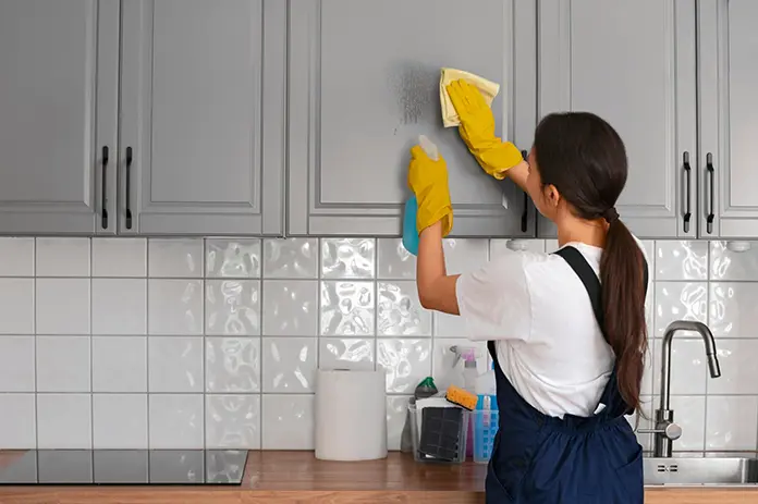 Basınsitesi Ev Temizliği